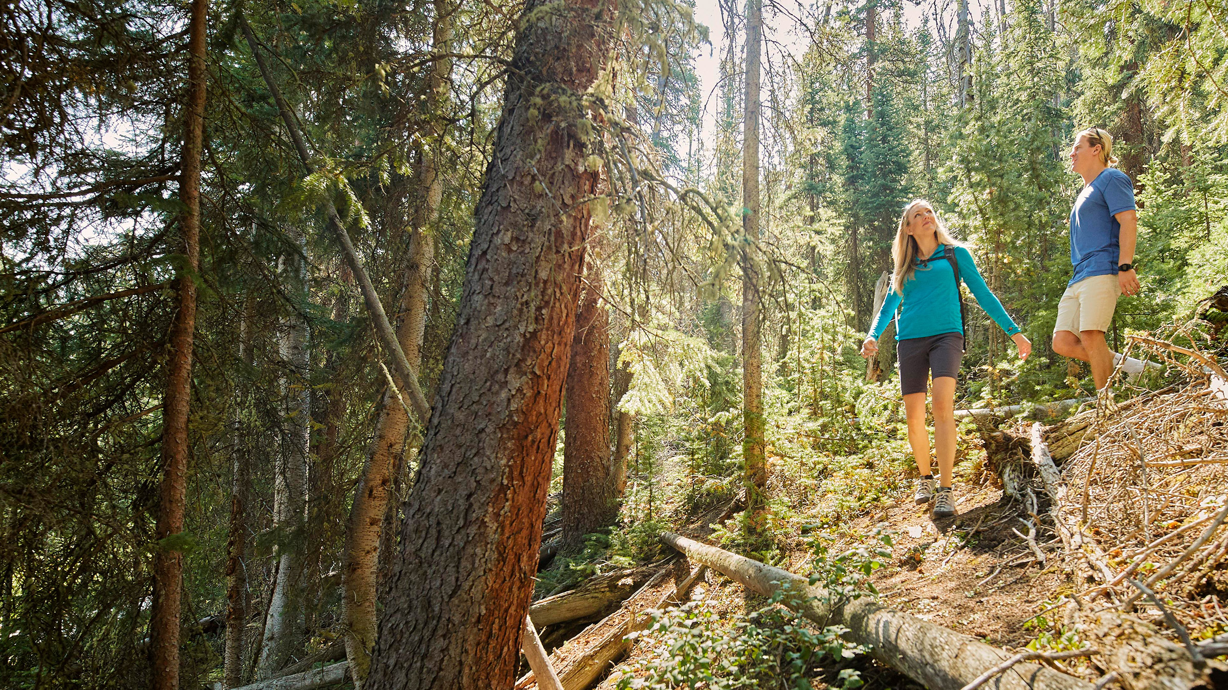 The Dercum Summit Hiking Trail is 2.3 miles long and ascends 180 feet. 